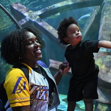 Woman and child looking at SeaLife MOA Aquarium.