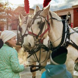 Two children in winter clothing stand near two white horses harnessed for carriage pulling at the Santa at the Shoppes at Arbor Lakes event. The horses have red plumes on their heads. The setting appears to be urban, under a partly cloudy sky, creating a cozy winter atmosphere.