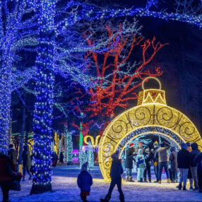 Visitors stroll through a vibrant Christmas light display in a snowy park. The trees are adorned with blue and red lights, and large golden ornaments are featured prominently, creating a festive and magical atmosphere.