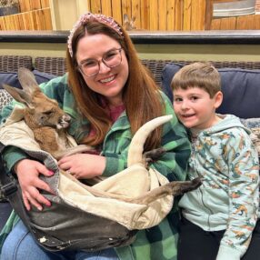 Woman and child holding a kangaroo at Sustainable Safari.