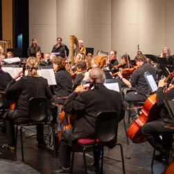 Wayzata Symphony Orchestra.