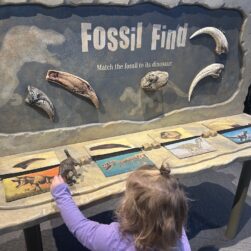 Kid looking at fossil find.