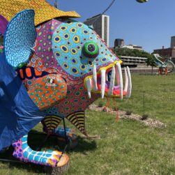 Alebrijes on Rapsberry Island.