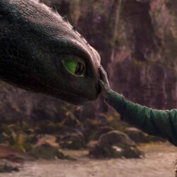 How to Train Your Dragon Hiccup and Toothless 2025.