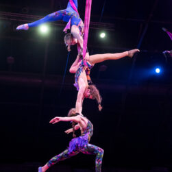 Lumiere swing performers.