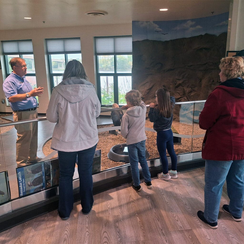 Soar with the Eagles at the National Eagle Center in Wabasha - Thrifty ...