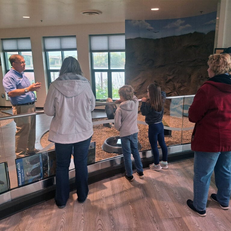 Soar with the Eagles at the National Eagle Center in Wabasha - Thrifty ...