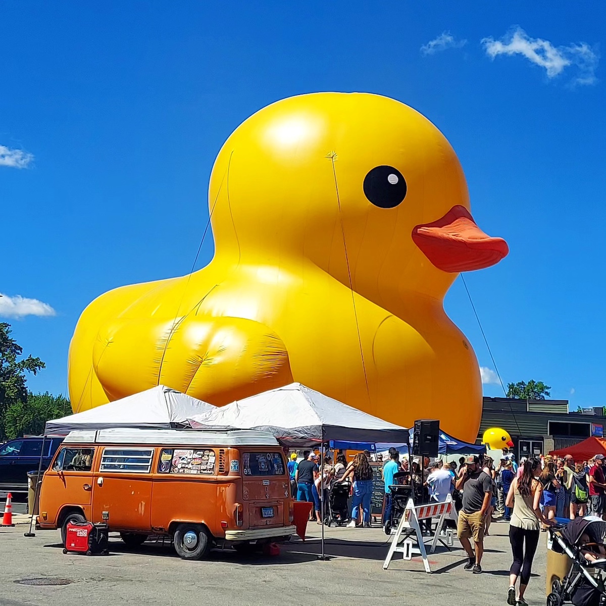 Worlds Largest Rubber Duck Princeton Rum River Days.