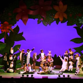 Madagascar Stages Theatre Company.