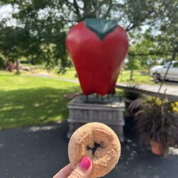 Hand holding a donut in front of a huge apple.
