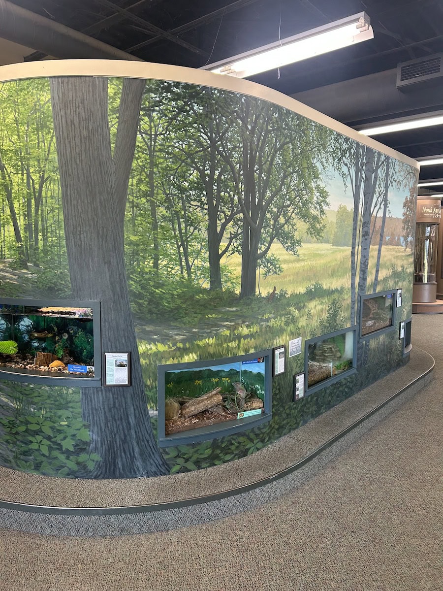 Inside of Carpenter Nature Center.