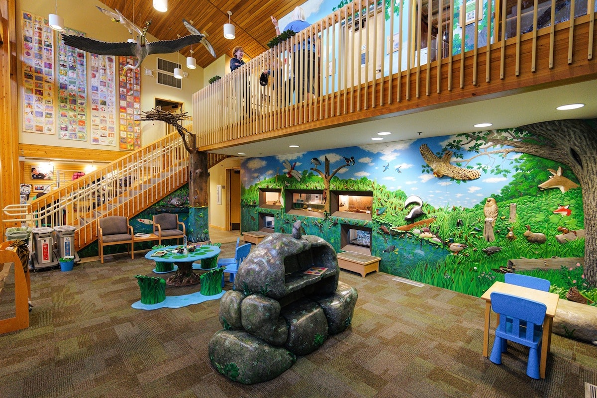 Inside of Richardson Nature Center.