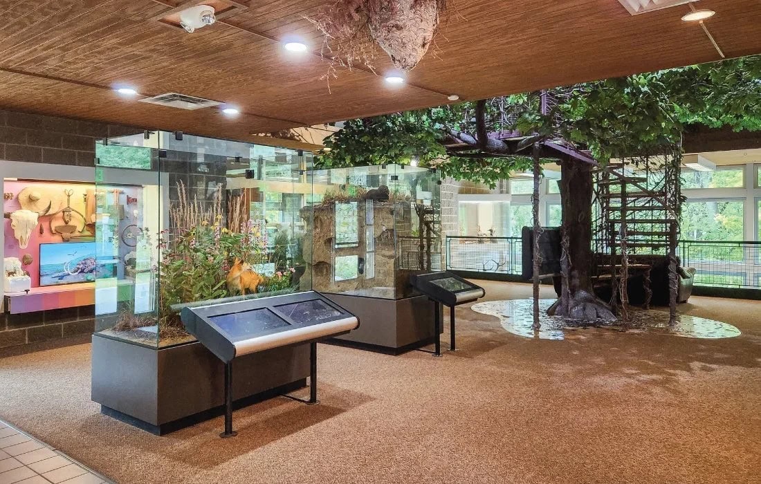 Inside of Wargo Nature Center.