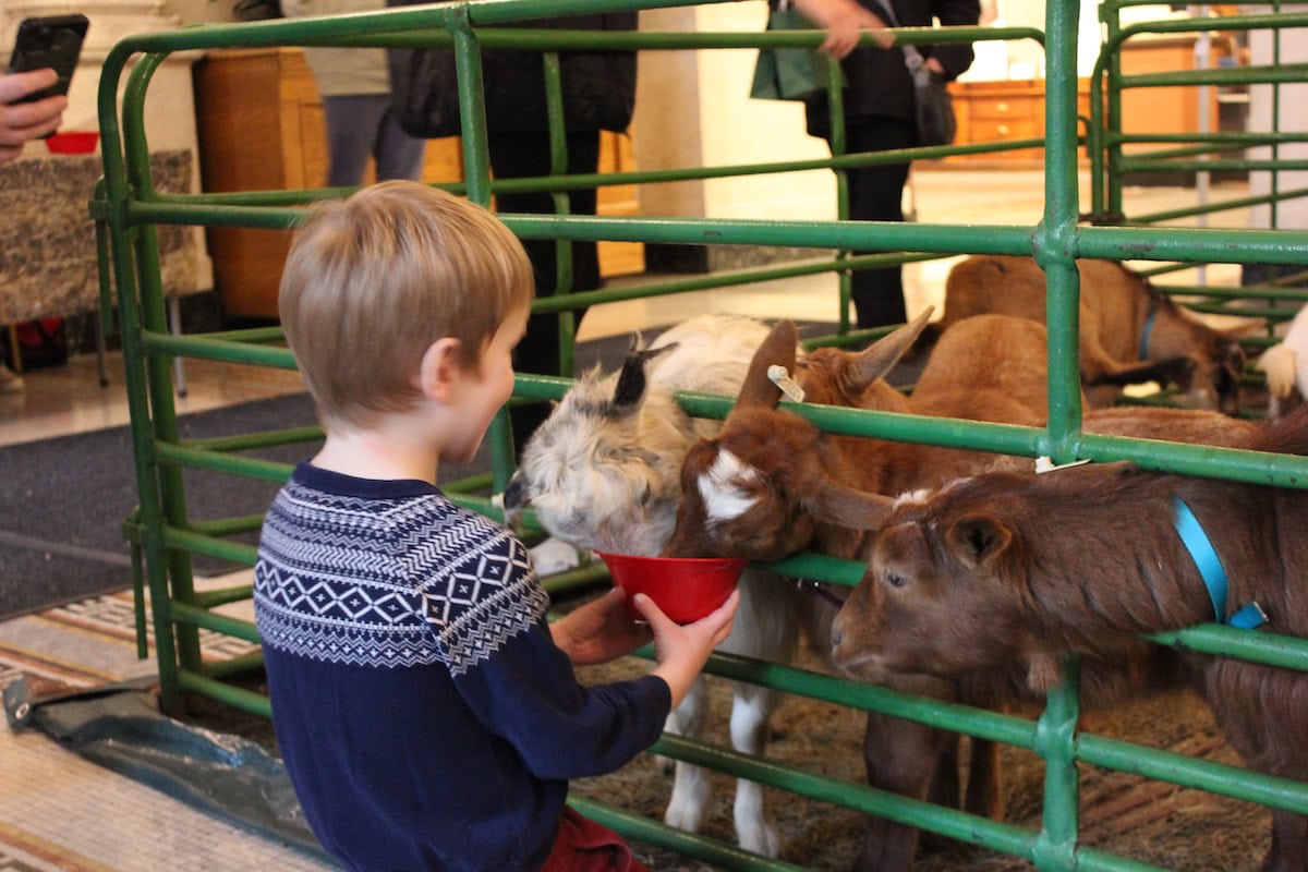 Landmark Center Santas Workshop Animal Visit.