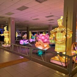 Lanterns at Illuminate Festival of Lights.