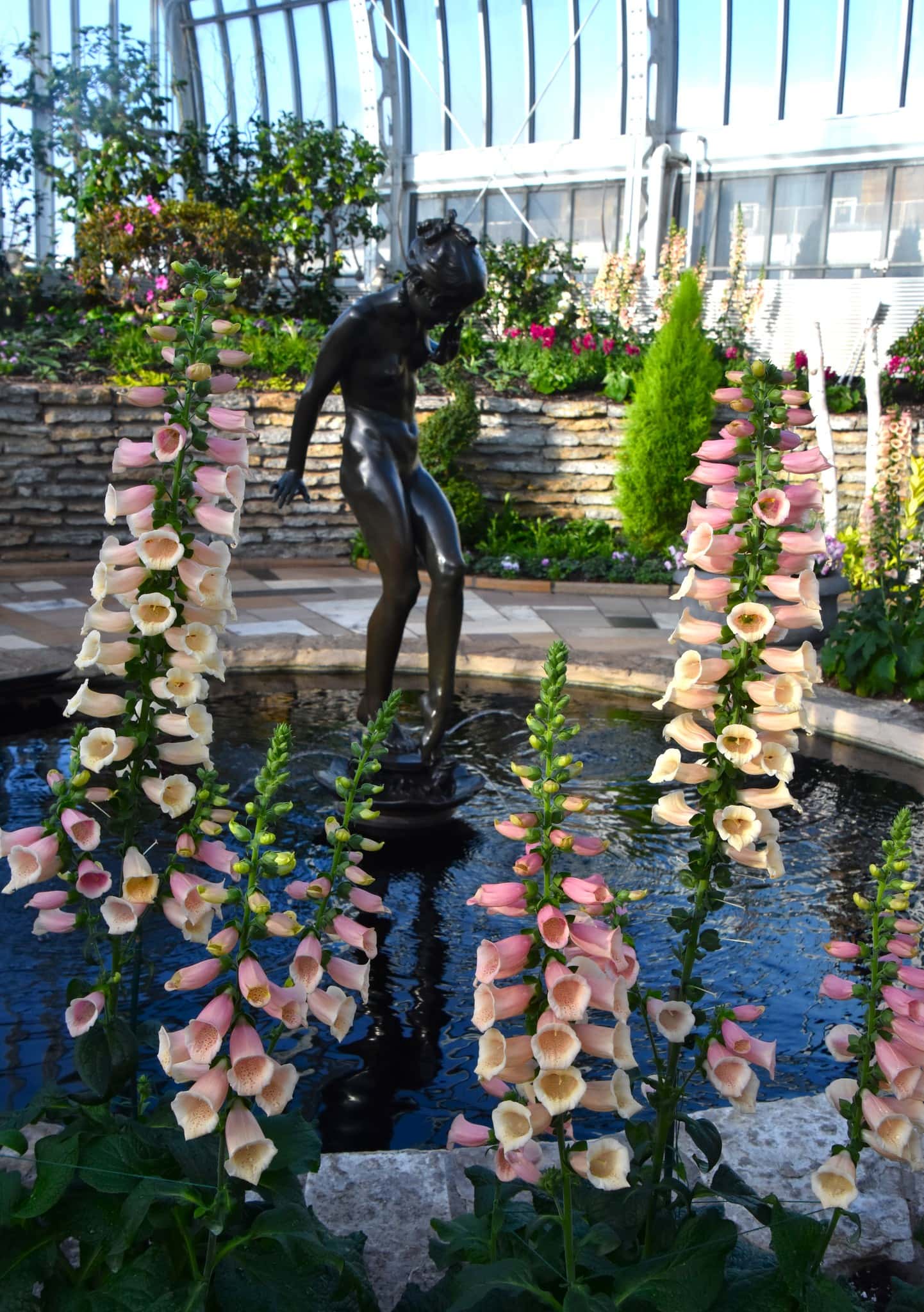 Statue surrounded by flowers at 2026 Como Conservatory Winter Flower Show.