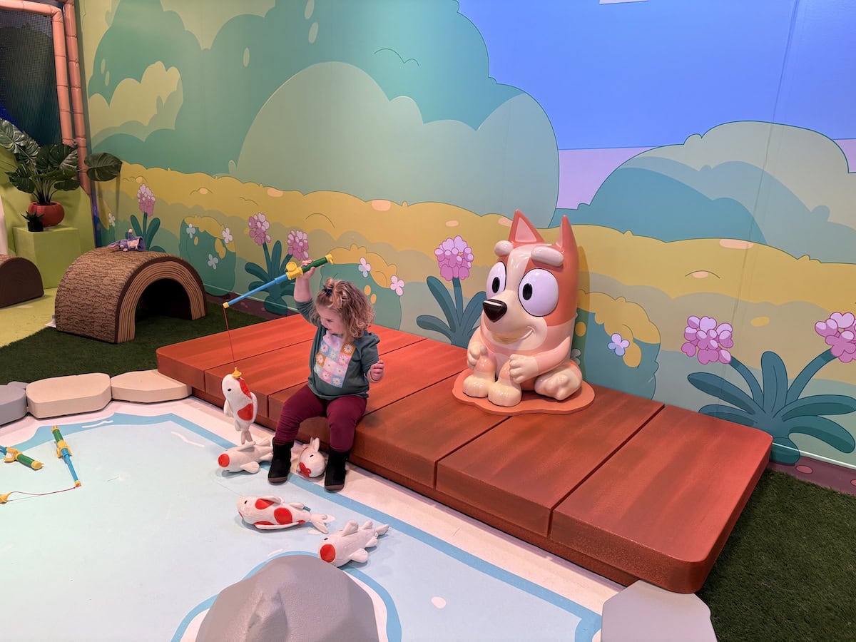 Bluey's Backyard Koi Pond.