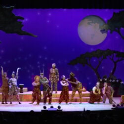 Giraffes Can't Dance company onstage.