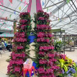 Floral Tree at Bachmans Flower Show Cirque de Fleurs.