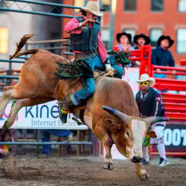 Rider on bull at rodeo event.