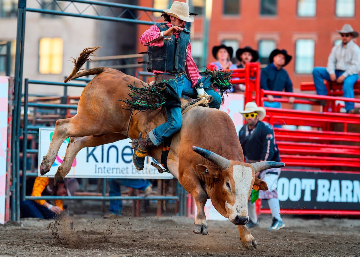 Minneapolis Rodeo at Surly Brewing Festival Field Discount Tickets