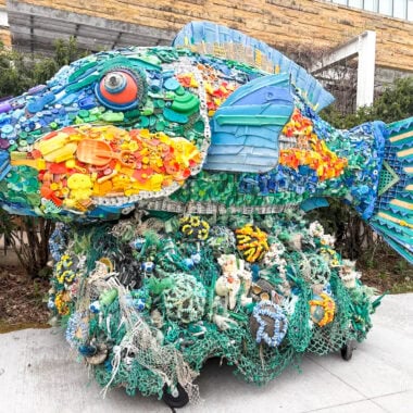 Rainbow Fish Washed Ashore Art Sculpture.