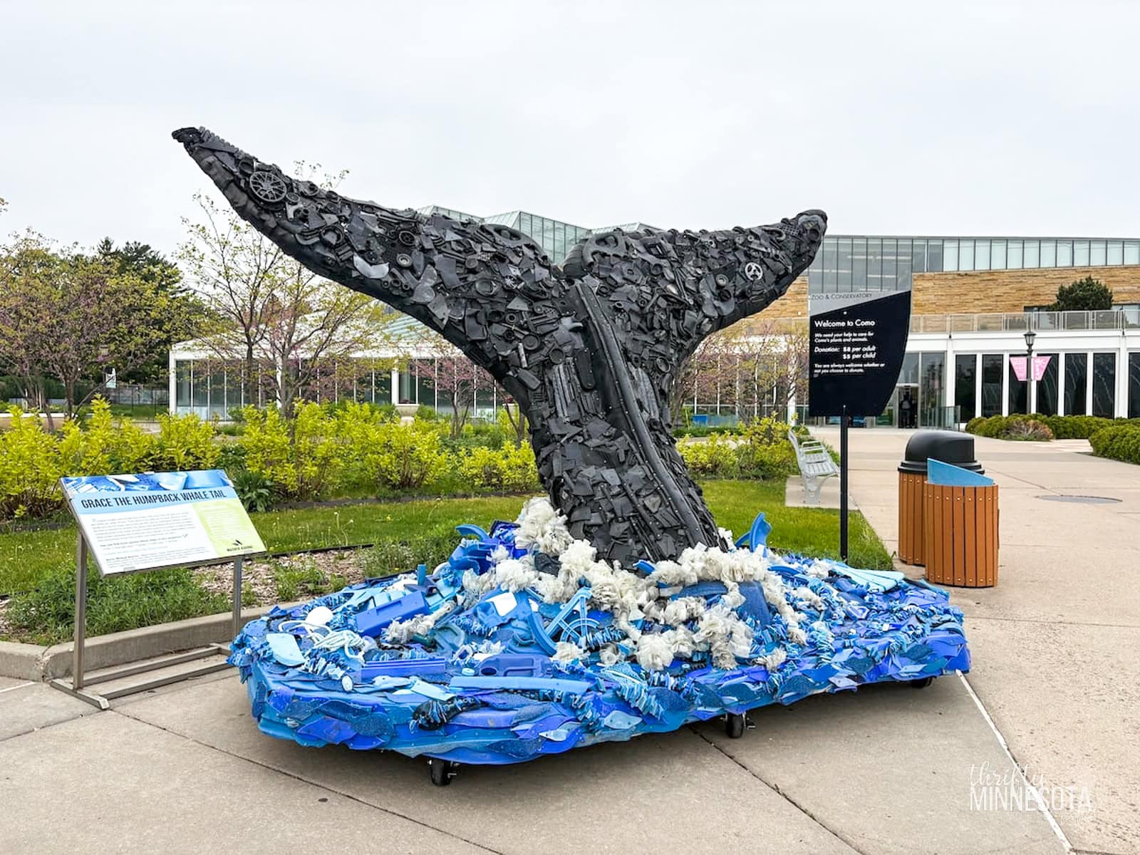 Whale Tail Washed Ashore Art Sculpture.