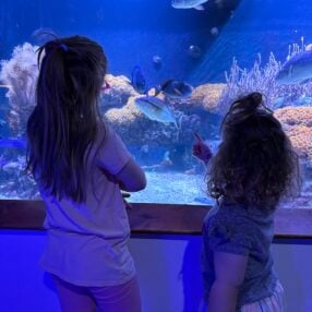 Two girls in front of aquarium.
