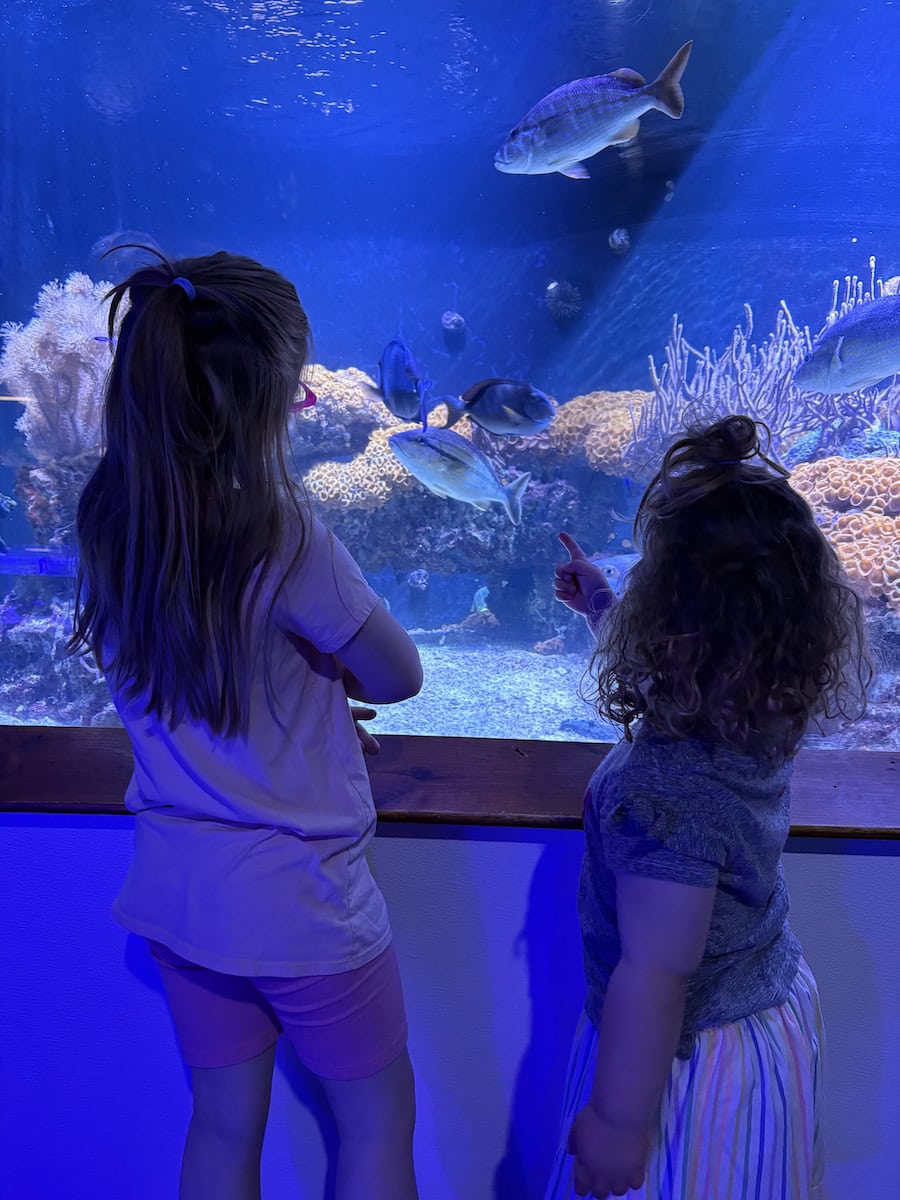 Two girls in front of aquarium.