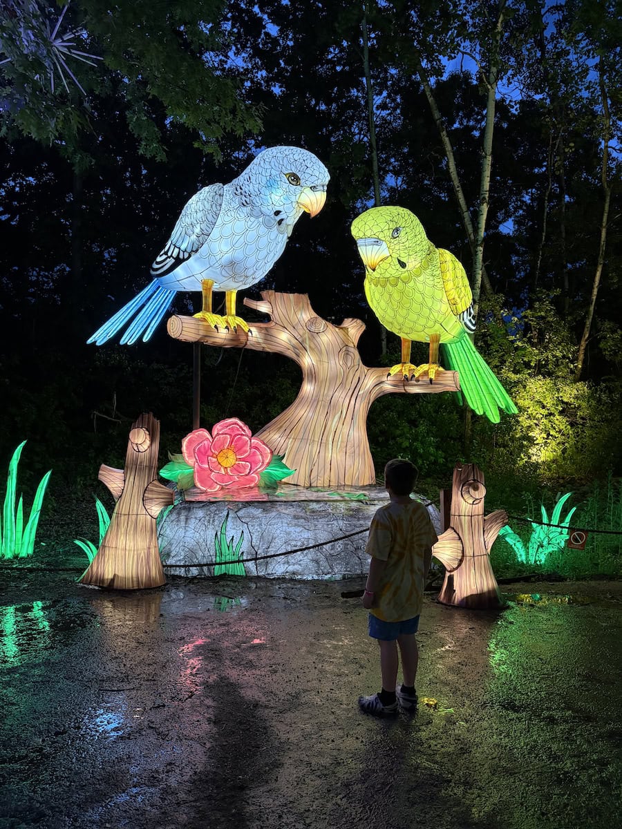 Wanderlight Trail at MN Zoo.