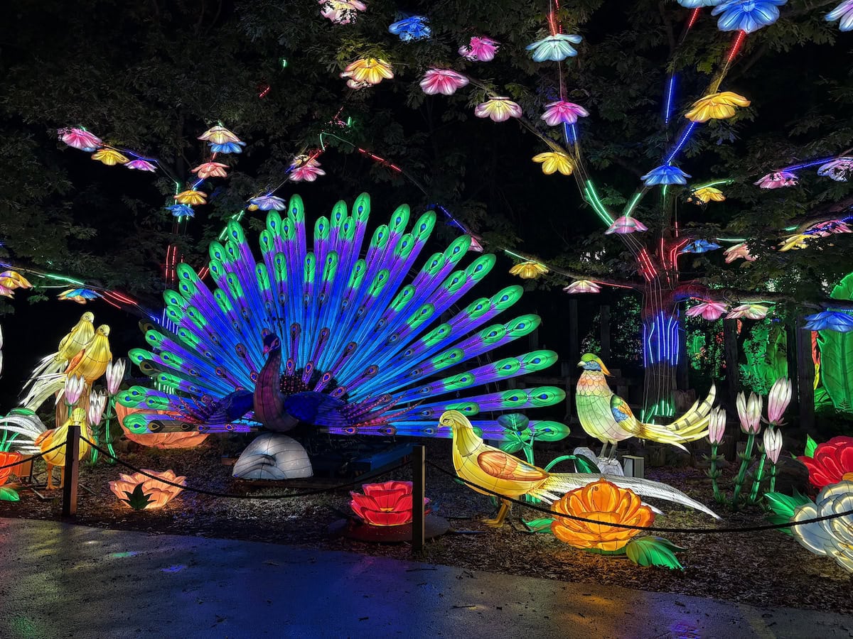 Wanderlight Trail at MN Zoo.