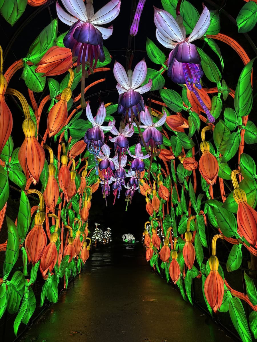Wanderlight Trail at MN Zoo.