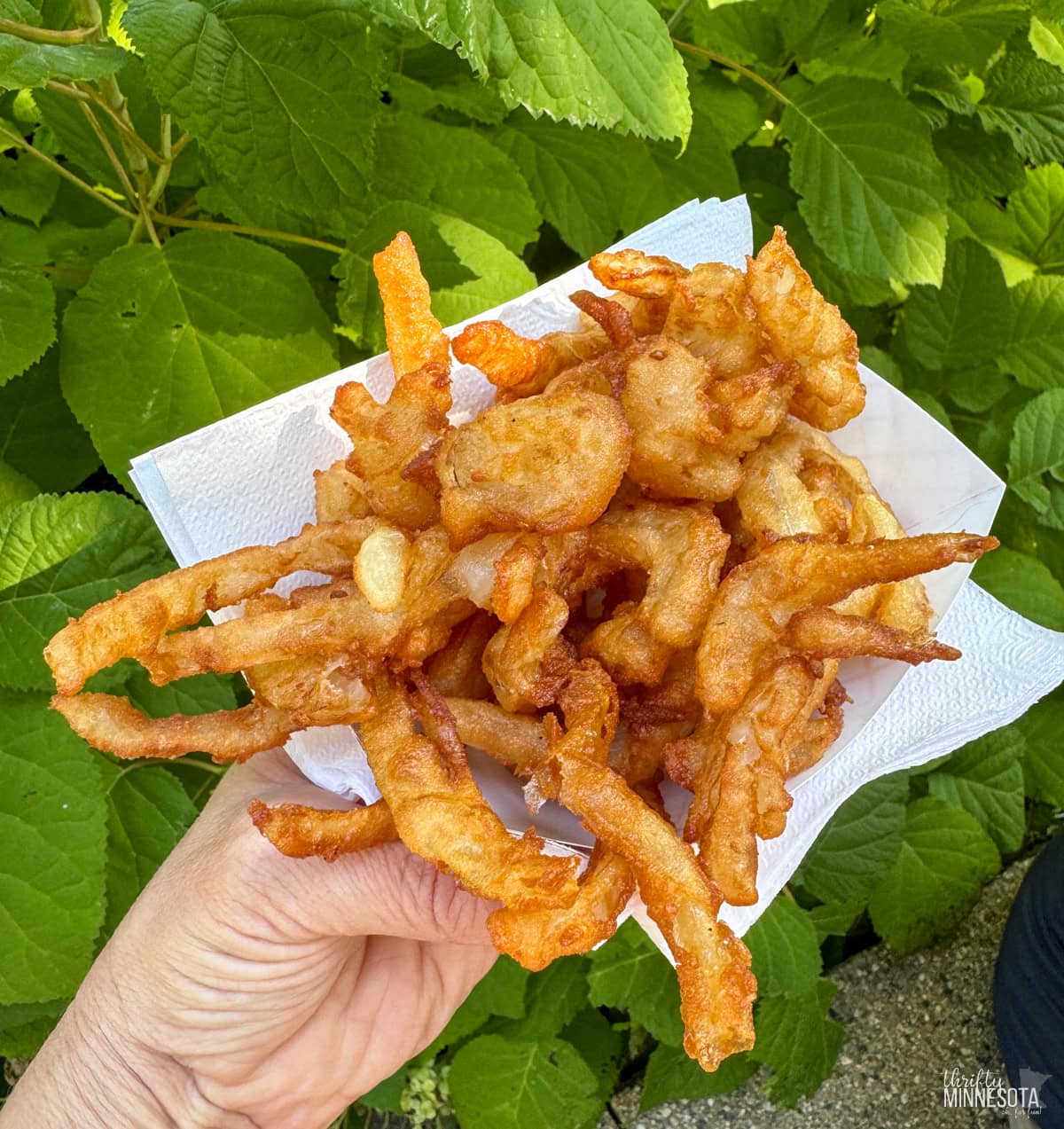 Food at Minnesota State Fair.