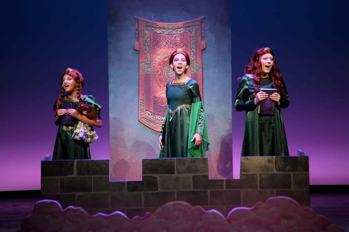 Shrek the Musical at Stages Theatre Company.