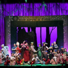 Shrek the Musical at Stages Theatre Company.