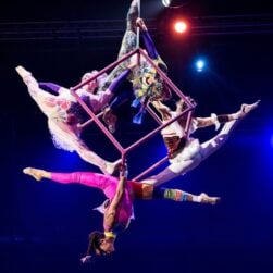 Circus Juventas Whimsy.