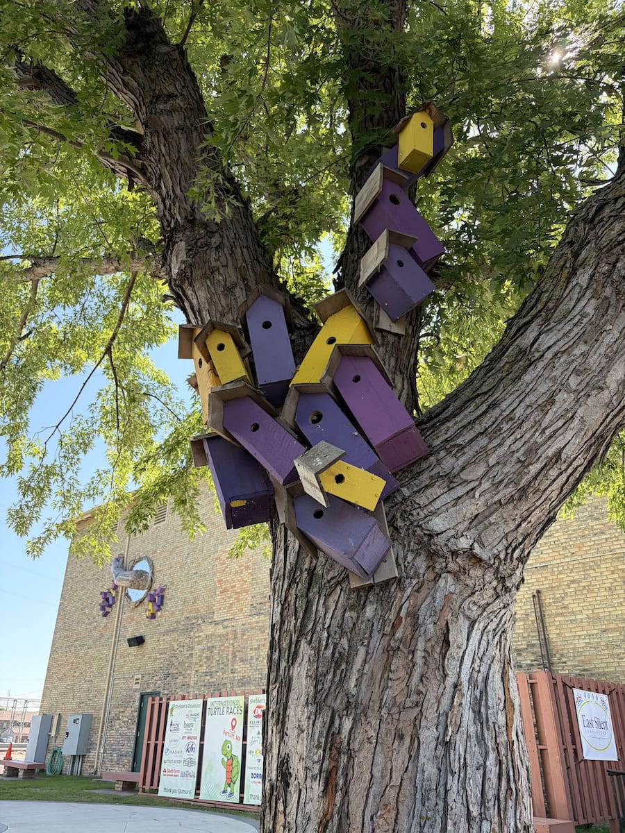 Birdhouses and magic mirror.