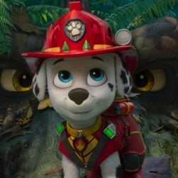 Carter Young as “Marshall” in Paw Patrol: The Dino Movie from Paramount PIctures and Spinmaster.