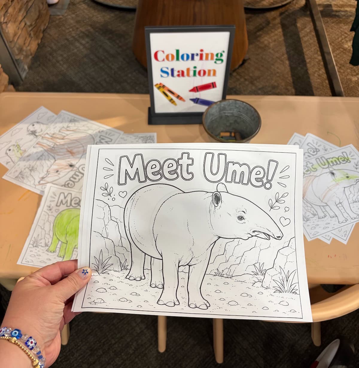 Ume Coloring Sheet at Minnesota Zoo.