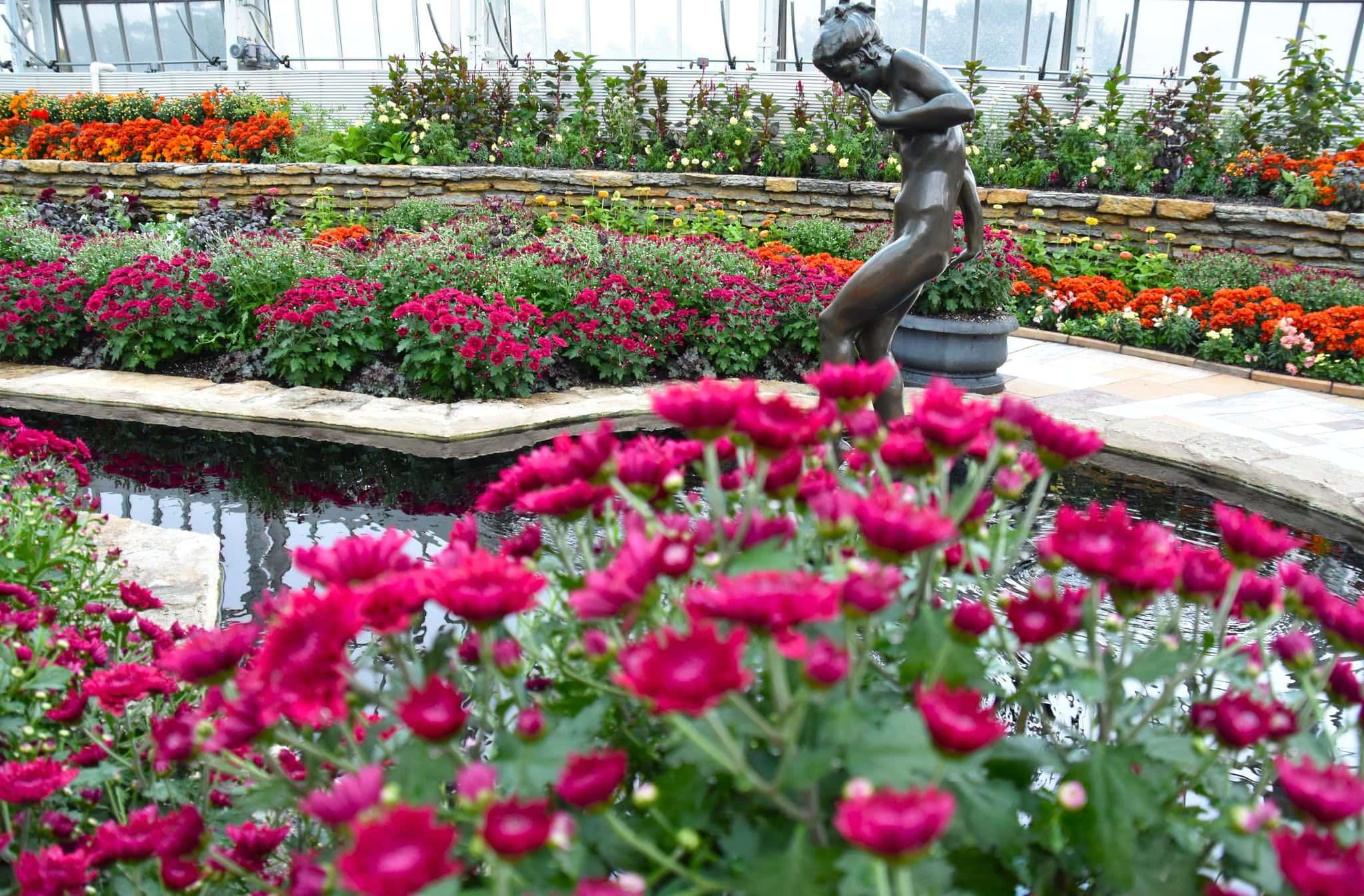 Como Conservatory Fall Flower Shower 2026.