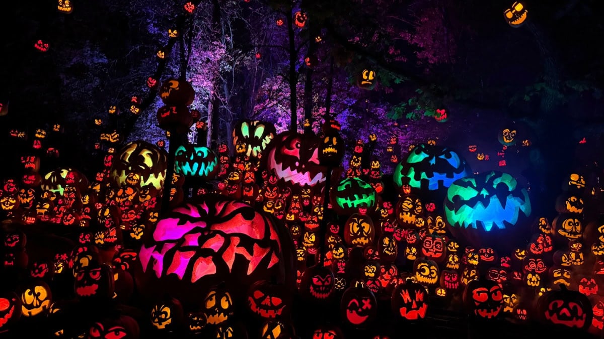 Minnesota Zoo Jack-O-Lantern Spectacular